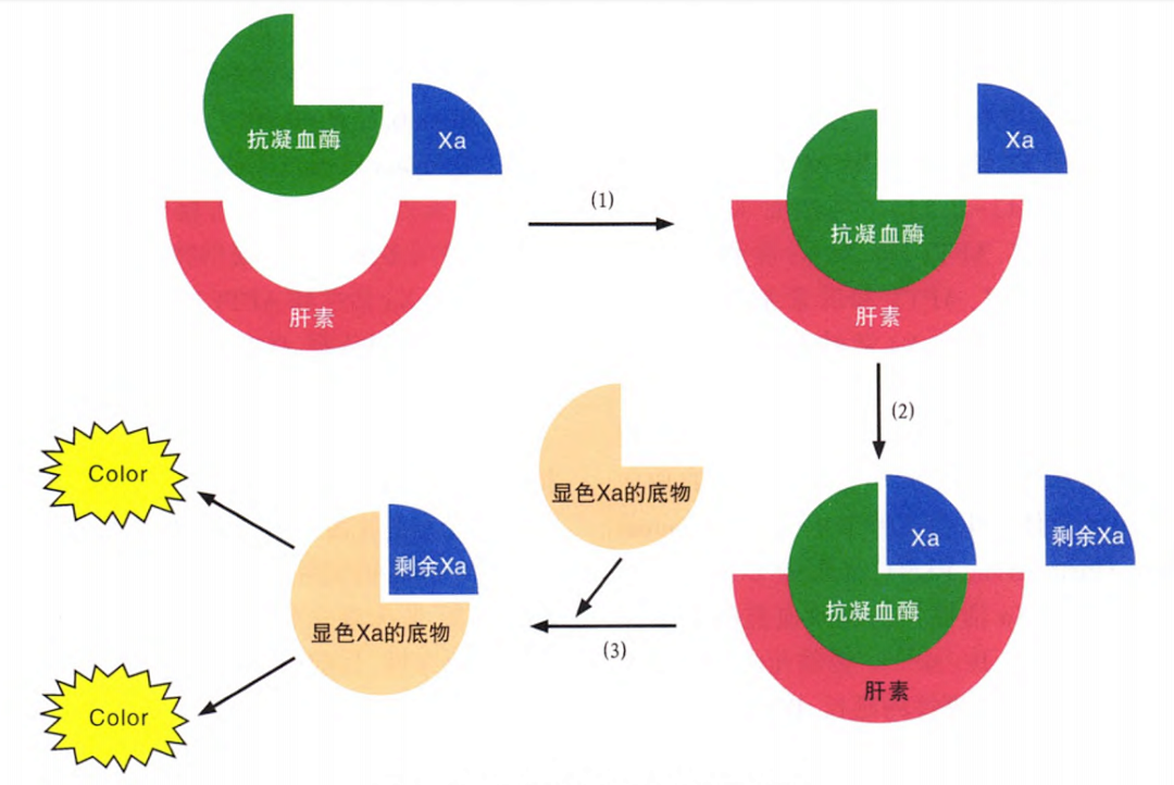 國產(chǎn)抗Xa質(zhì)量如何？多中心臨床研究來告訴你！
