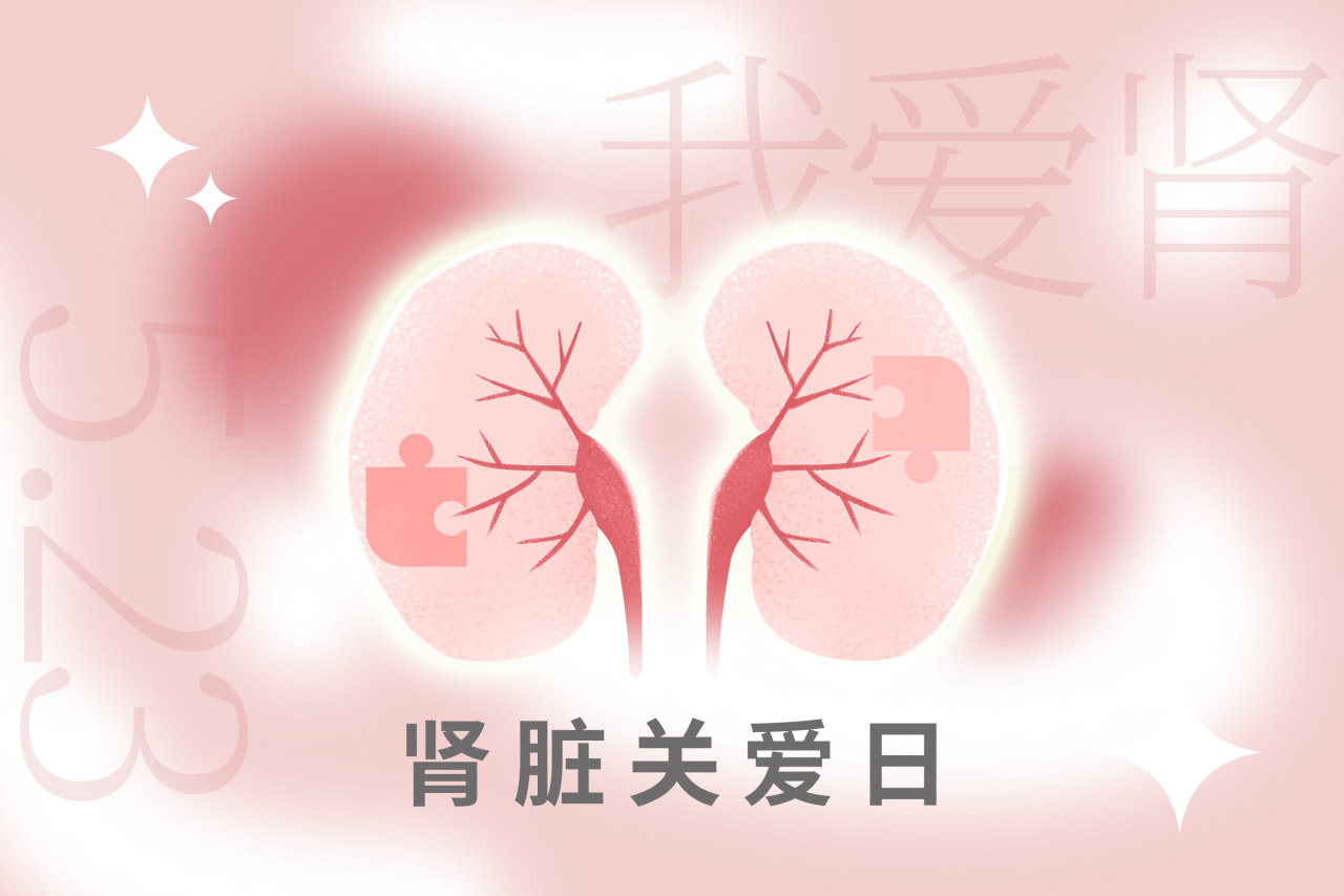 5.23腎臟關(guān)愛(ài)日 | “腎”機(jī)勃勃，健康生活！